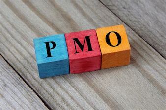 Setting Up a PMO